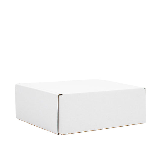 50x postdozen Wit 152x101x46mm