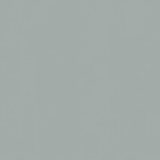 Inpakpapier Zilver 30cm x 200mtr