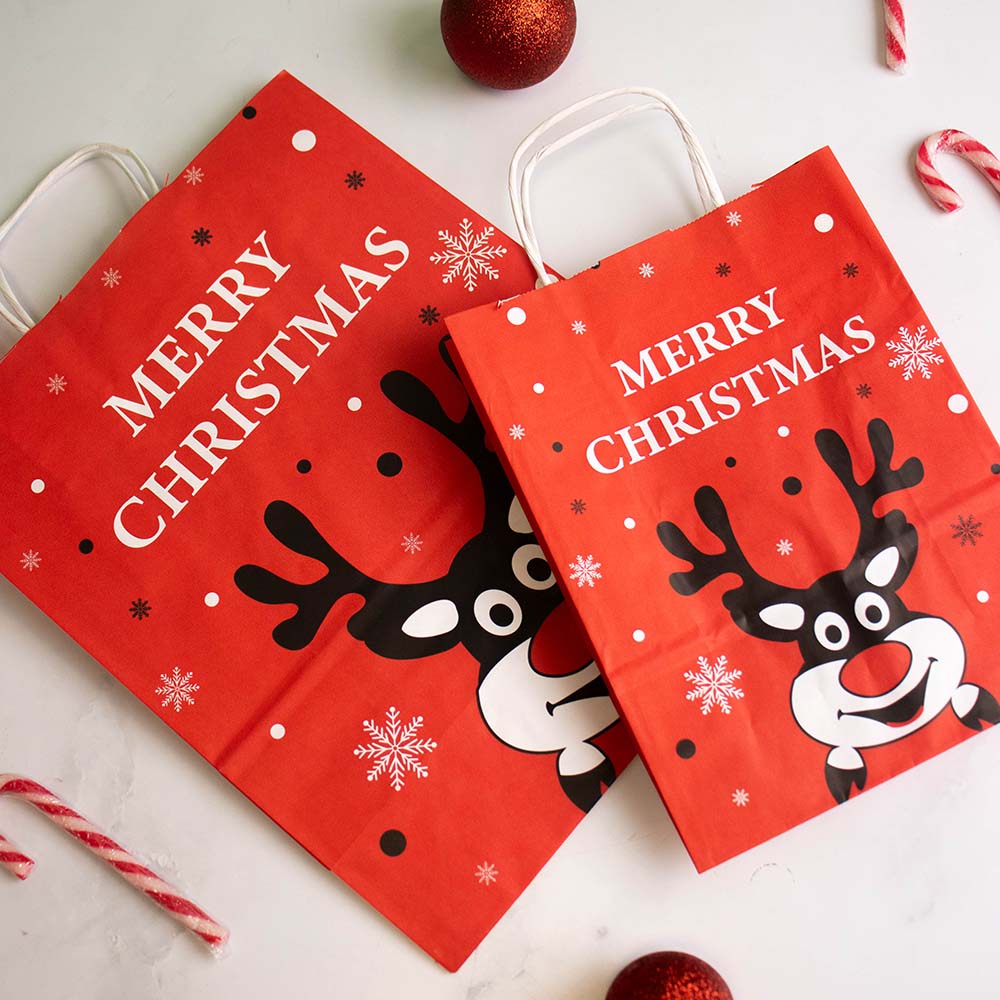 50x papieren Kersttasjes A5 Rudolph
