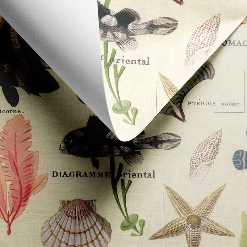 Inpakpapier Sansibar 30cm x 200mtr